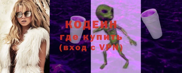 шишки Абаза