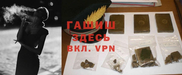 мет Алексин