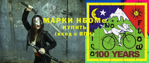 шишки Абаза