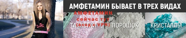мет Алексин