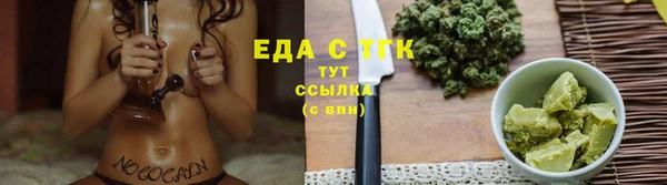 шишки Абаза