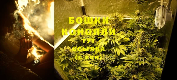 шишки Абаза