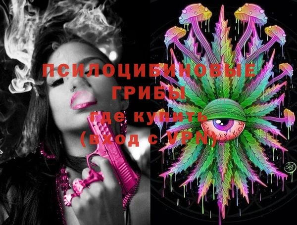 шишки Абаза