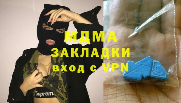 мет Алексин