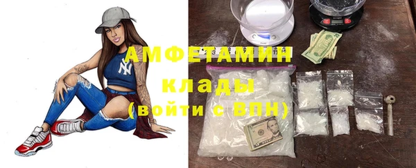 шишки Абаза